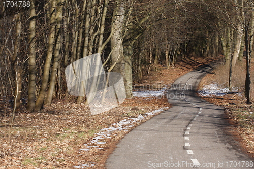 Image of colorul forest