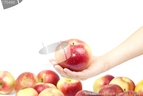Image of Apple
