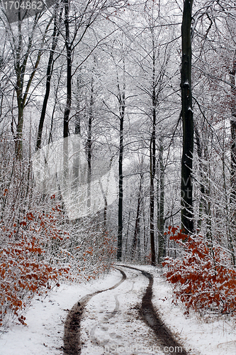 Image of danish winter 
