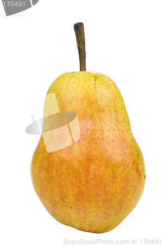 Image of Pear