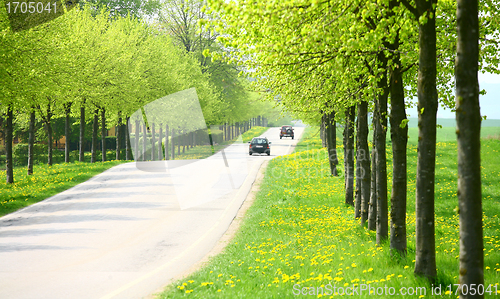 Image of spring road