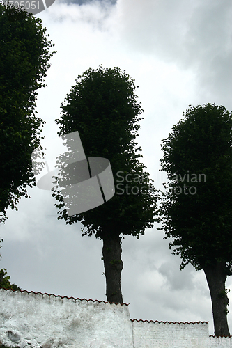 Image of danish landscape01