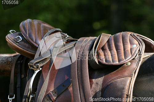 Image of saddle