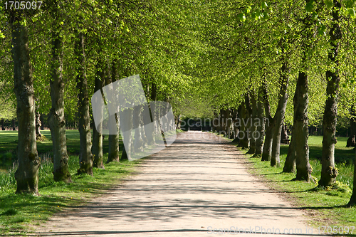 Image of green path