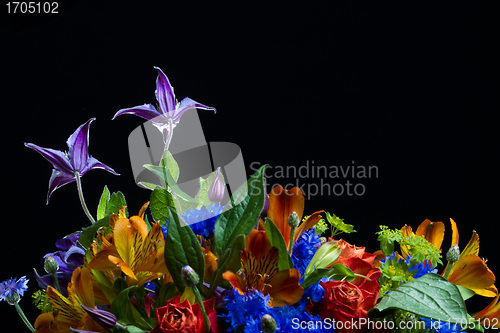 Image of Flowers