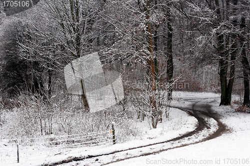 Image of danish winter 