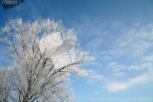 Image of winter in denmark