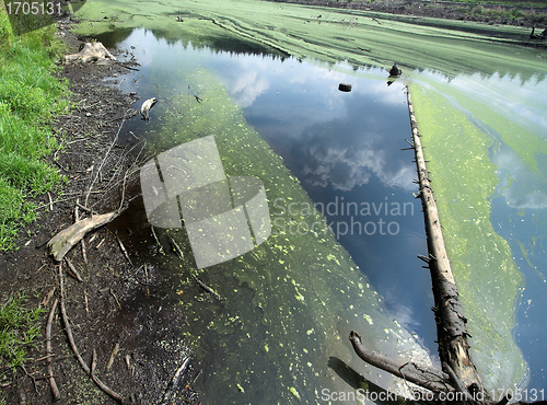 Image of lake