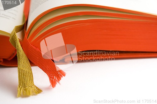 Image of Open Book (Close View)