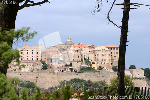 Image of calvi