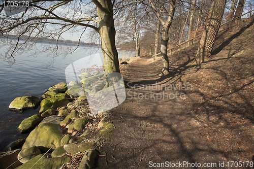 Image of lake forest