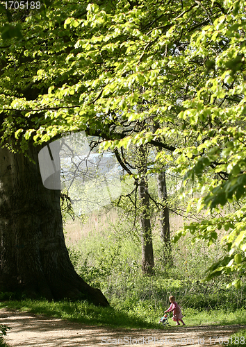 Image of rudeskov path