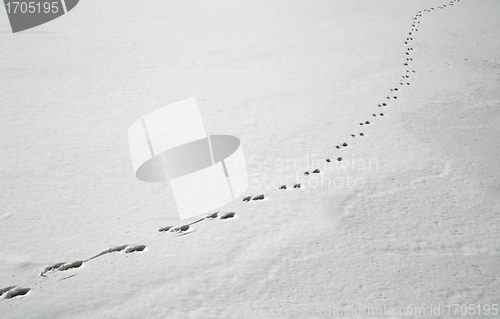 Image of winter in denmark