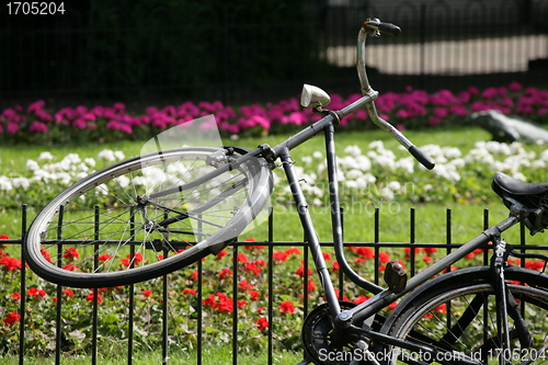 Image of Bikes in Amsterdam