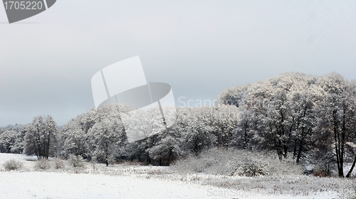 Image of nature landscape