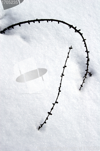 Image of snowy winter