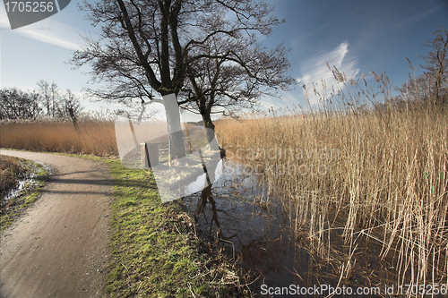 Image of lake forest