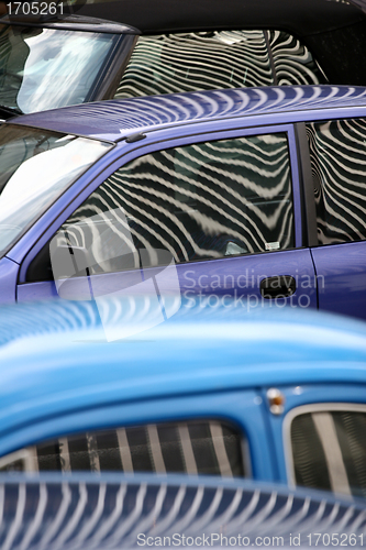 Image of zebra cars