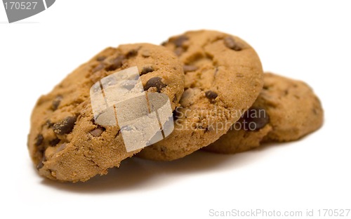 Image of Bunch of Chocolate Chip Cookies