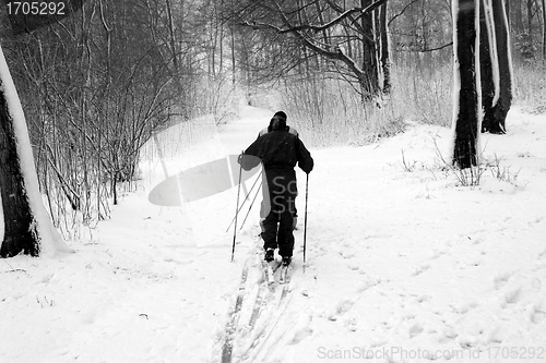 Image of  skiing