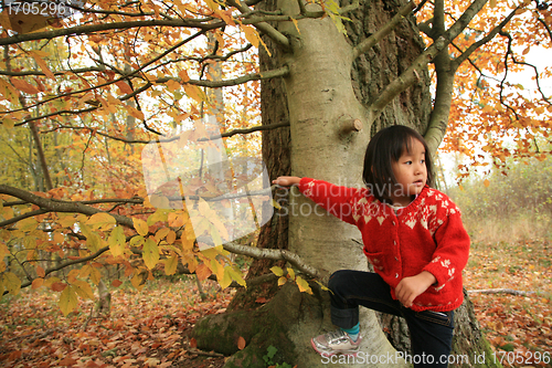 Image of child outdoor in forest