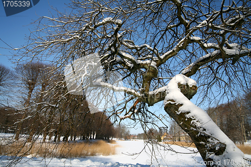 Image of snowy winter