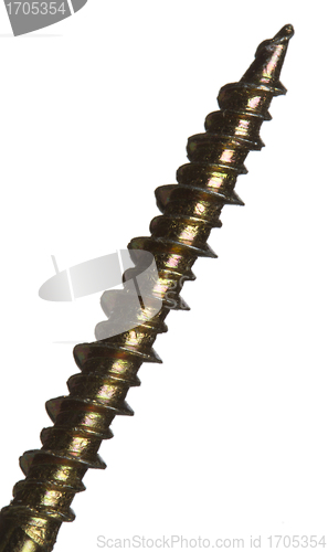 Image of Nails
