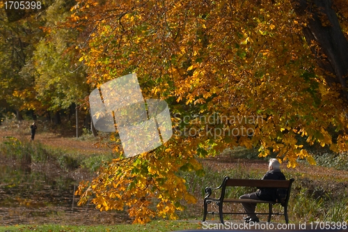 Image of autumn bench