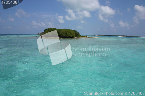 Image of maldives islands