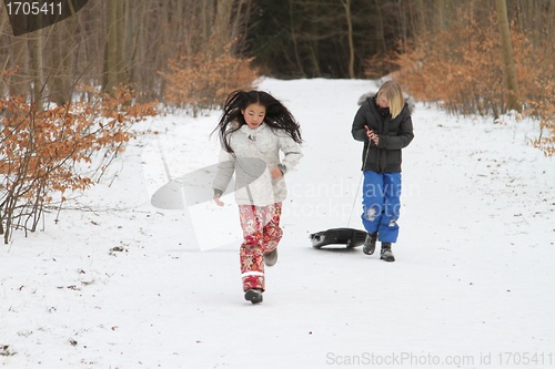 Image of toboggan