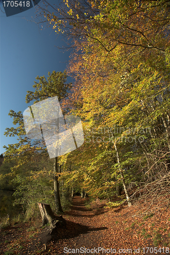 Image of danish landscape