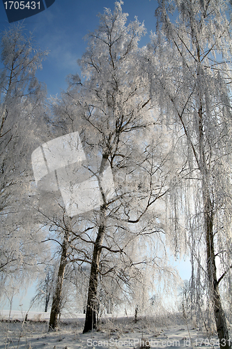 Image of winter in denmark