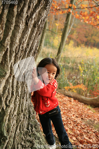 Image of child outdoor in forest