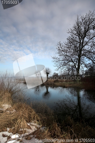 Image of lake forest