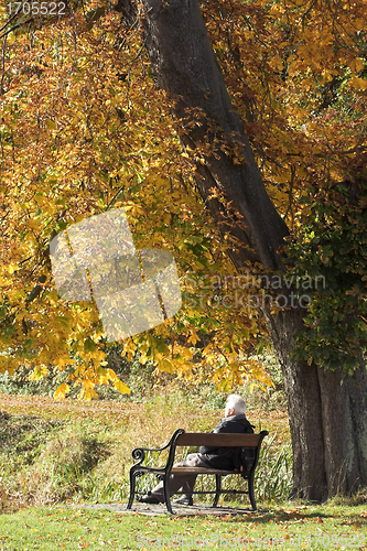 Image of autumn bench