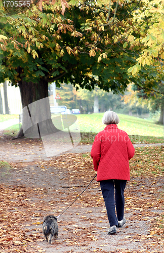 Image of walking the dog 