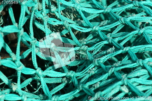 Image of fishnet in a harbor in denmark