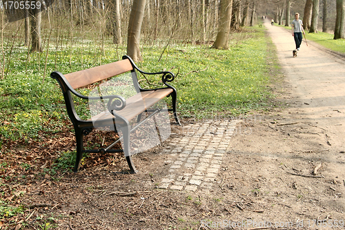 Image of bench