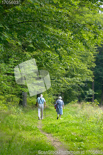 Image of couple in the forest