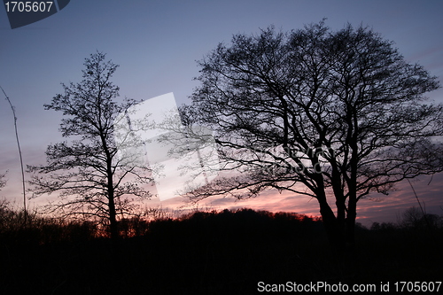 Image of Sunset landscape