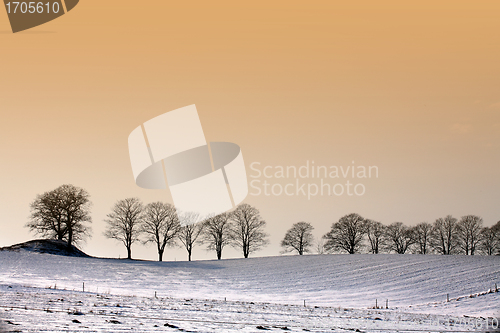 Image of snowy winter
