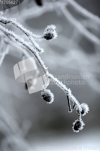 Image of snowy winter