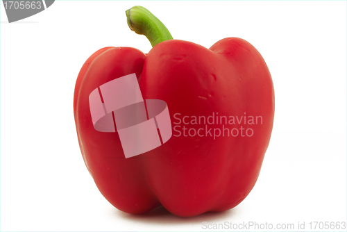 Image of Red pepper