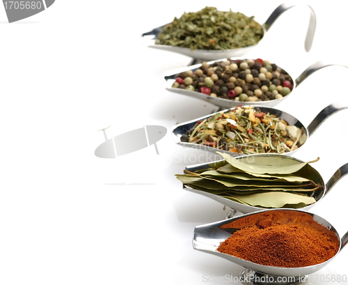 Image of Spices