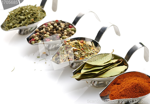 Image of Spices