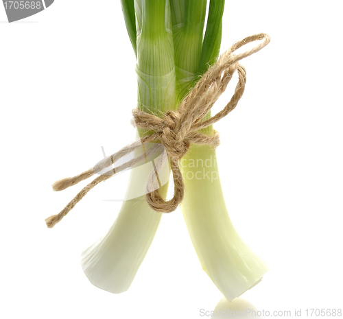 Image of Green Onions