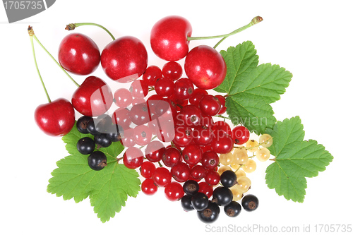 Image of Fruits