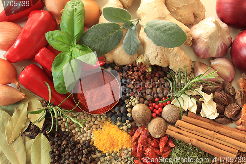 Image of Spices and herbs