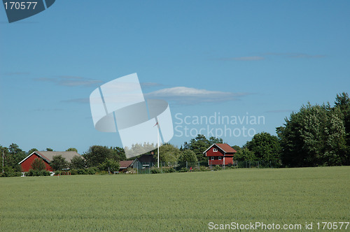 Image of cornfield and farm