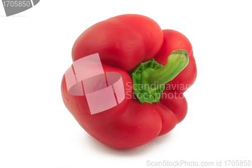 Image of Red pepper horizontal